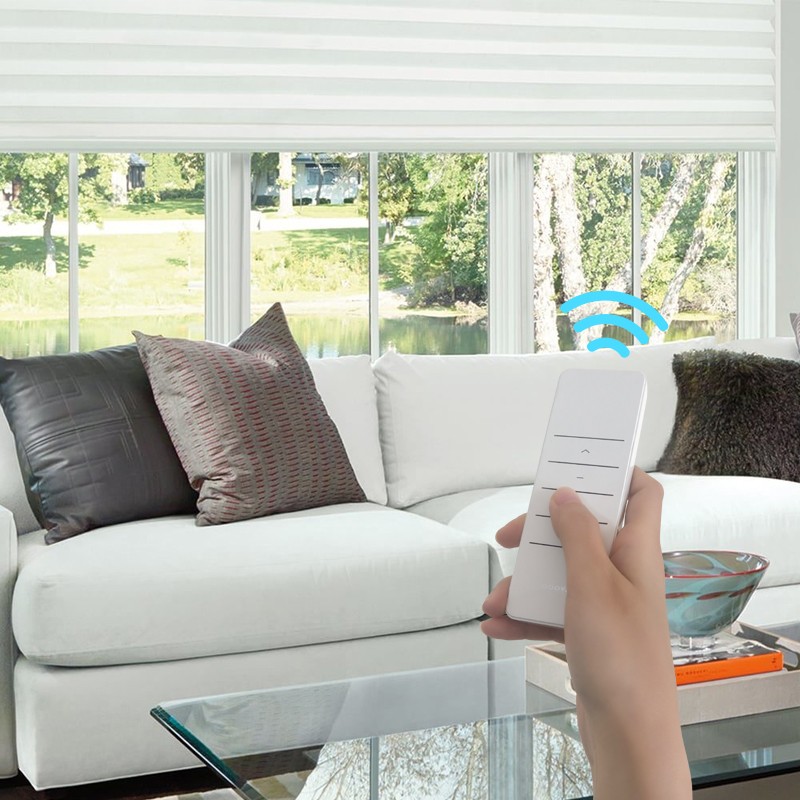 Zebra Smart Blinds