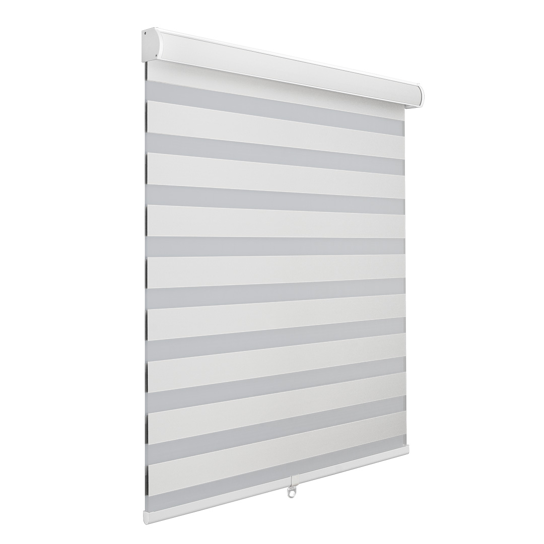 Zebra Blinds for Window